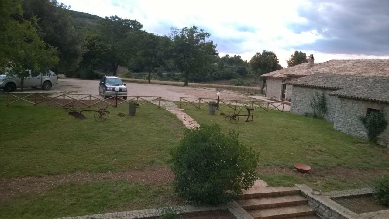 Cerqueti Baschi