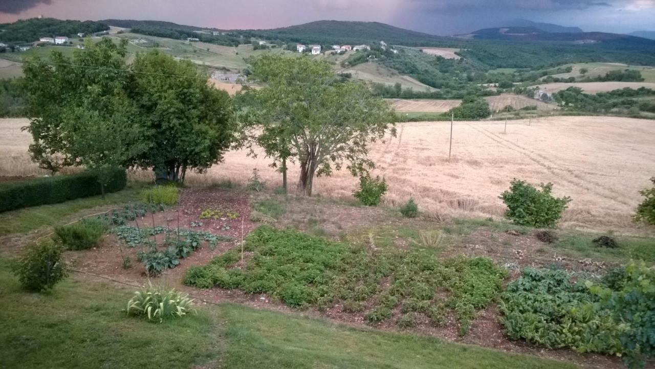 Cerqueti * Baschi